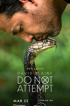 大卫·布雷恩：请勿尝试 David Blaine: Do Not Attempt