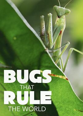 虫临天下 第一季 Bugs That Rule the World Season 1