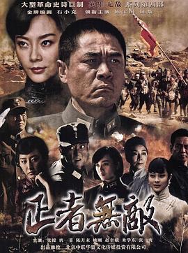 【英雄无敌系列7部】信者无敌/正者无敌/义者无敌/仁者无敌/勇者无敌/信者无敌/忠者无敌(2007-2016)【209G】1080p中字