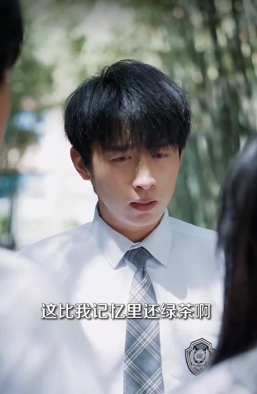 【短剧】我的青春小鸟一去再回来（95集）严浩&刘彦君&瑞子&王希如 792.9MB