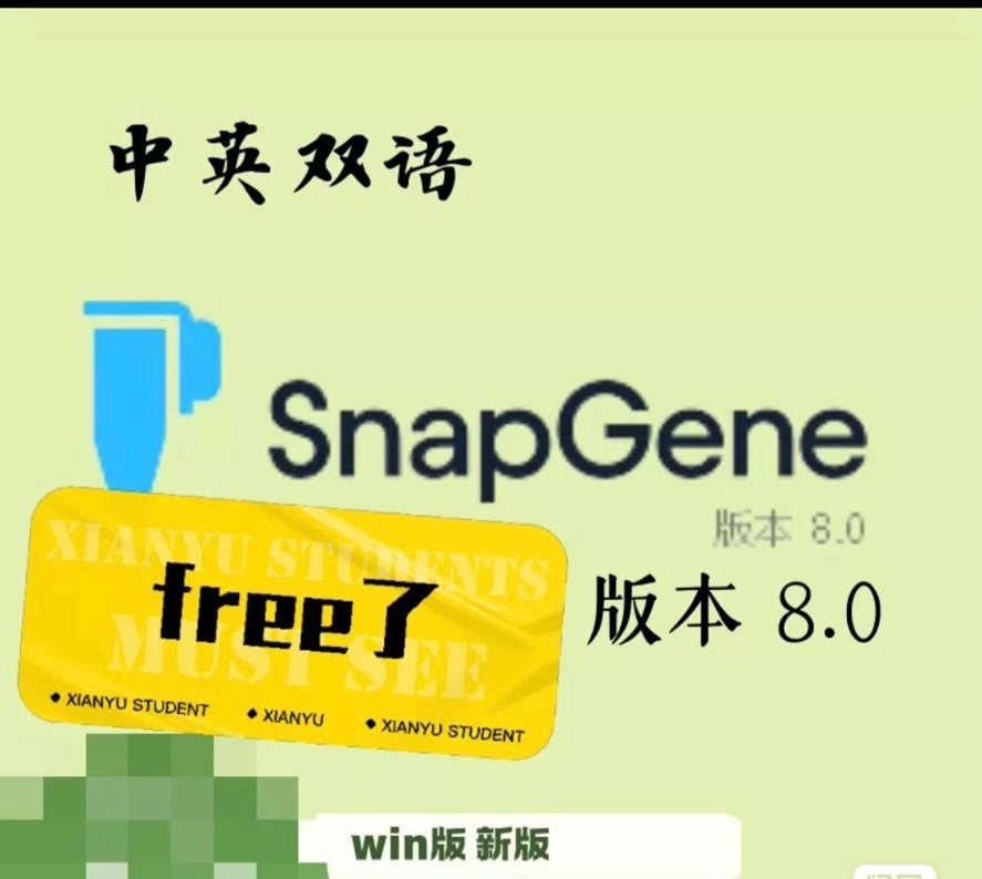 SnapGene 8.0 新版 Win 中英文可切换  分子克隆工具 科研必备 126MB