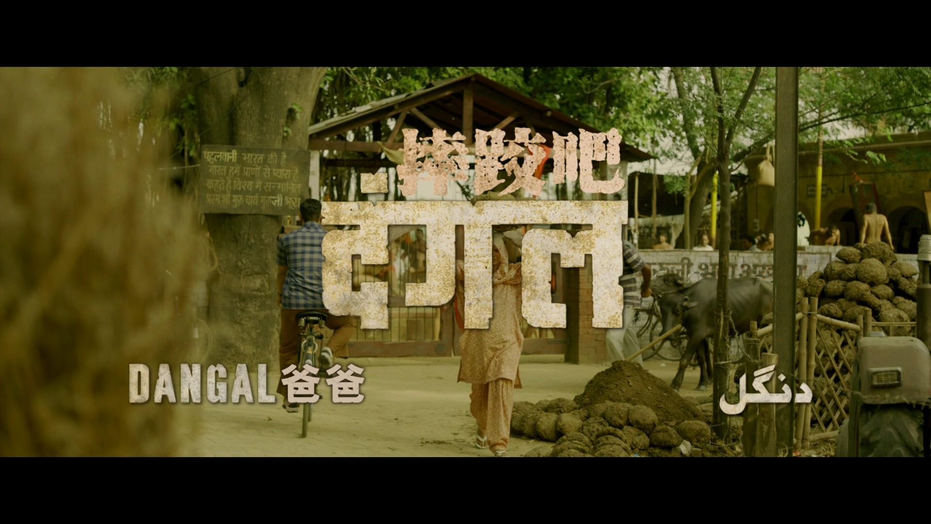 摔跤吧！爸爸 (2016)【蓝光原盘REMUX】【次世代环绕声国印双语】内封简繁英双语特效字幕 [34.5G] [摔跤吧爸爸]