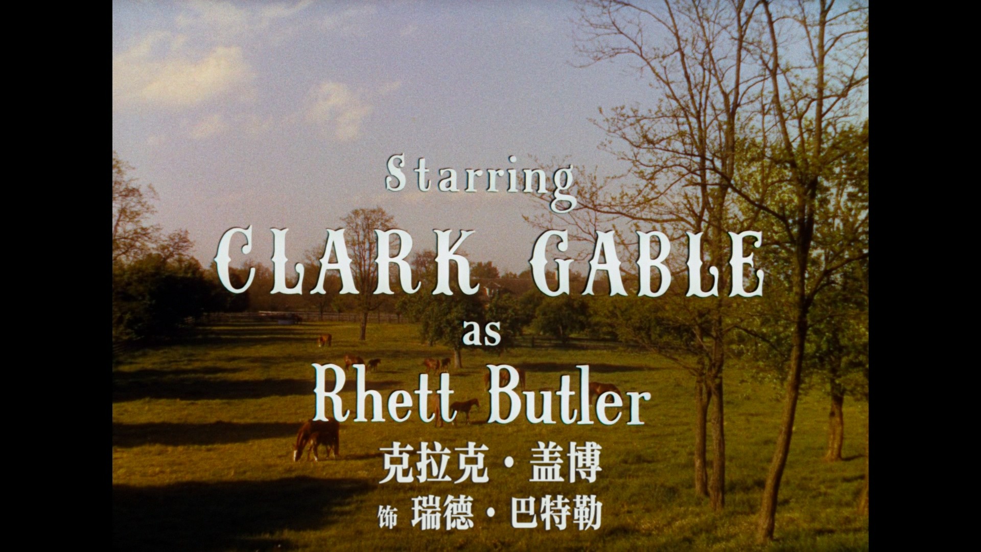 乱世佳人 (1939) 美版70周年纪念版【蓝光原盘REMUX】【杜比环绕声原生英语+八版国配】内封简体简英双语特效字幕 [40.2G]