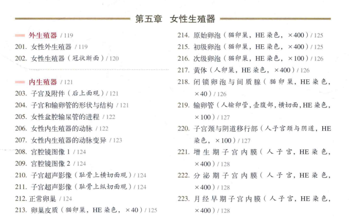 《女性解剖图谱》（彩图版）上海科学技术出版社【rar】  [33MB]