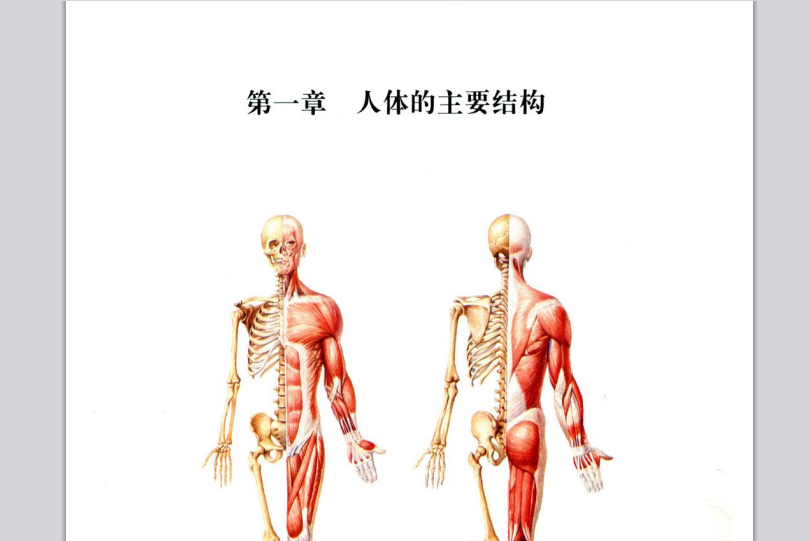《交通事故人体损伤图谱》（绝版收录）辽宁科学技术出版社 【rar】  [124MB]