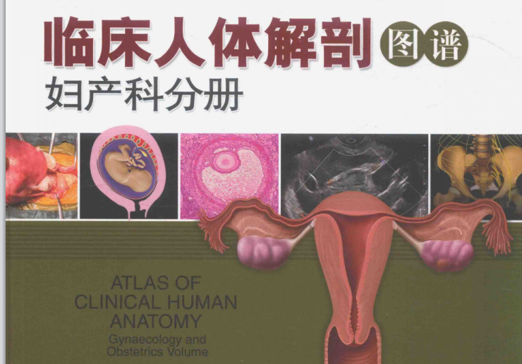 《女性解剖图谱》（彩图版）上海科学技术出版社【rar】  [33MB]