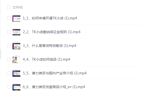 TikTok Shop跨境实战全攻略:零基础到爆单速成指南 (1.3G)