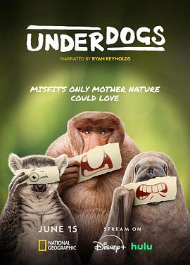 废柴英雄 Underdogs
