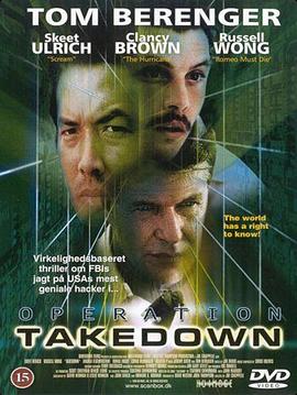 骇客追缉令 Takedown