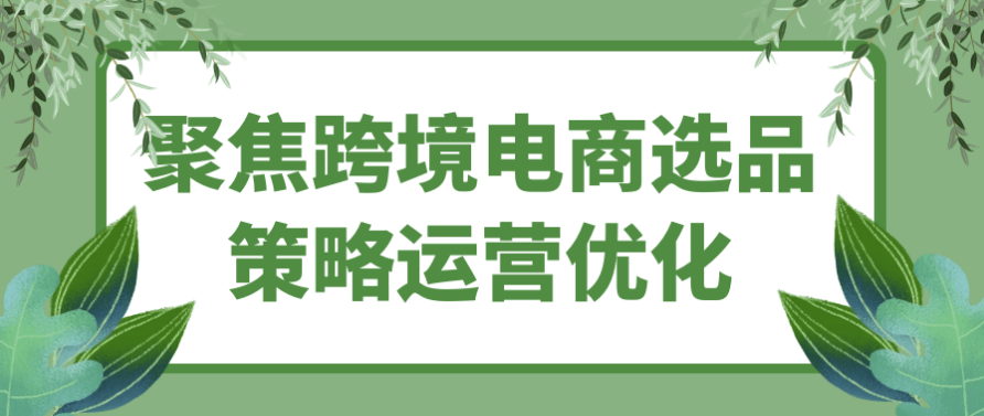 聚焦跨境电商选品策略运营优化 【1.7GB】