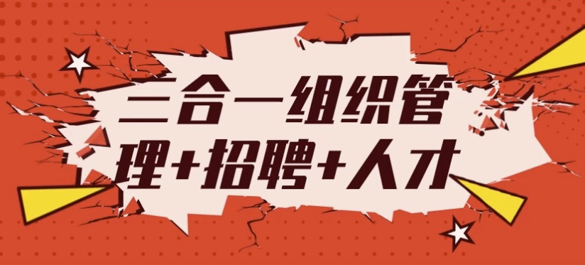 三合一组织管理+招聘+人才 【9.9GB】