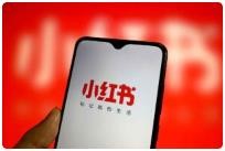 小红书电商从0-1实操运营课,0基础小白轻松上手 1017.6M
