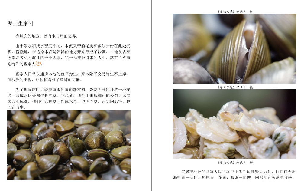 《寻味东莞》领略新东莞 老味道 美食与人文 [pdf] [20MB]
