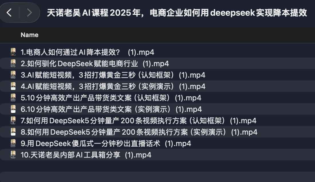 天诺老吴AI课程2025年，电商企业如何用deeepseek实现降本提效【172.3MB】