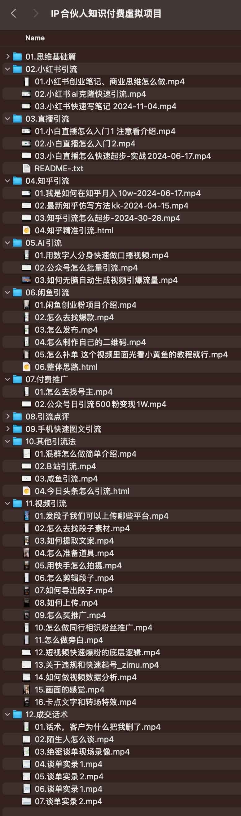 IP合伙人知识付费虚拟项目【1.2GB】