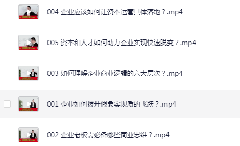 王冲：《冲出重围》之《老板必修五课》（5集视频）  [12G]