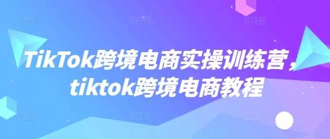 TikTok跨境电商官方实操教程 学习如何在跨境TikTok上成功运营和实现盈利【695MB】