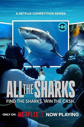 众里寻鲨：拍摄大作战 All the Sharks