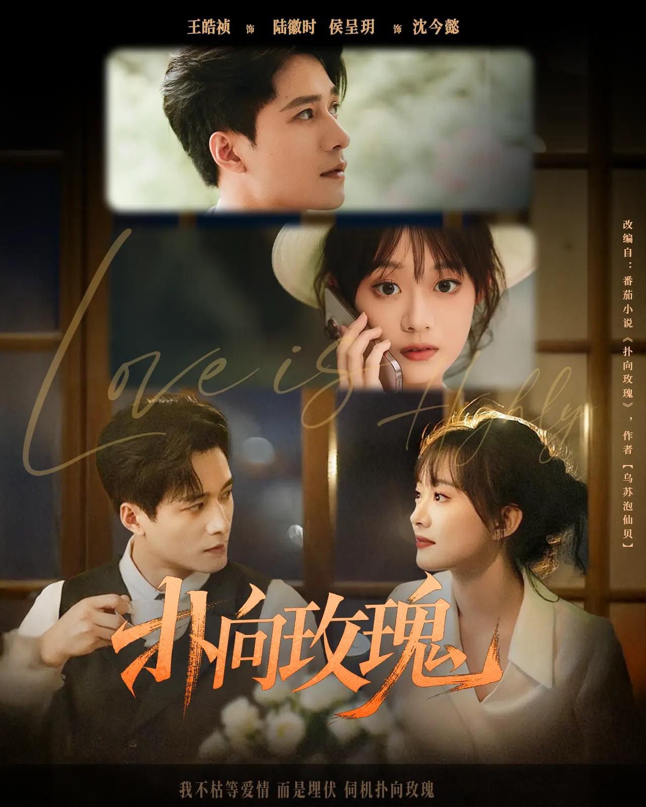 【短剧】《扑向玫瑰》77集/950M [全集完结]