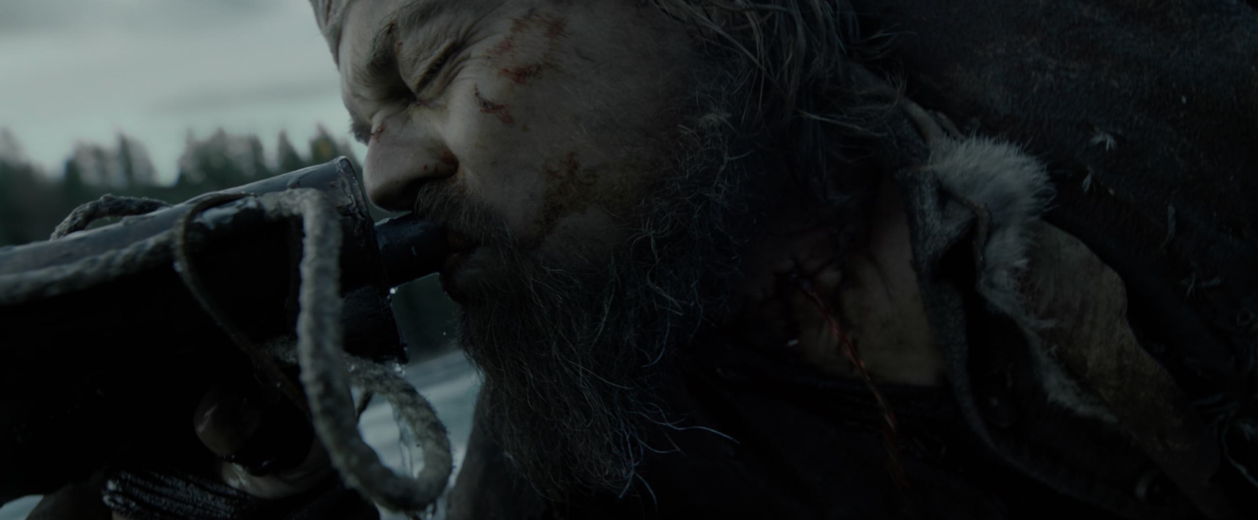 荒野猎人(2015)【4K.REMUX UHD原盘】【国英双语】【内封简繁英双语特效字幕】【剧情/冒险】【75.3GB】