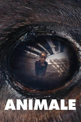 兽性 Animale