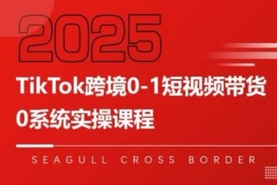 TikTok跨境0-1短视频带货,系统拆解TikTok跨境带货全链路,实现跨境可持续盈利【1.2GB/MP4】