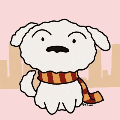 小虎霖